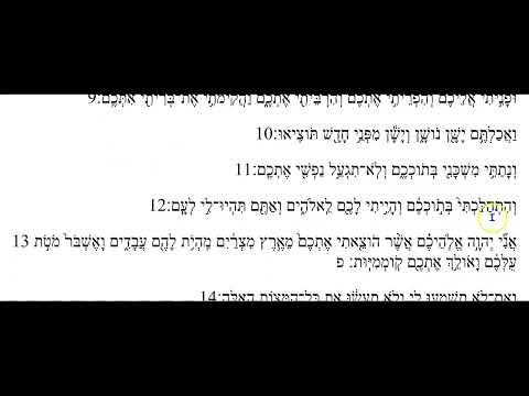 Bechukotai. Leviticus 26:3-16 in Hebrew. Reading and translating.