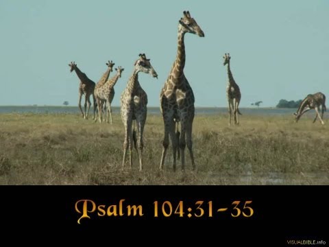 Psalm 104:31-35 | English | NET Bible (1:40min)