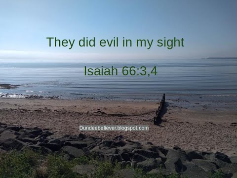Isaiah 66:3,4 - They did evil in my sight