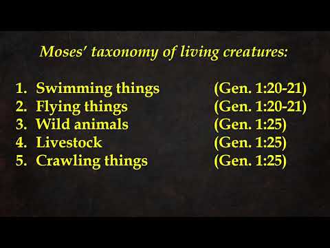 Invisible Church Video - Habakkuk 1:13 - 2:2