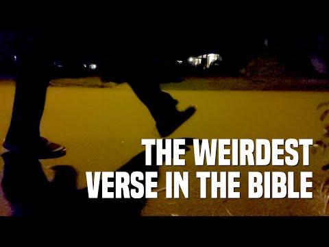This Verse Is Really Weird, Let Me Explain It | Exodus 4:25 | Vlog 027