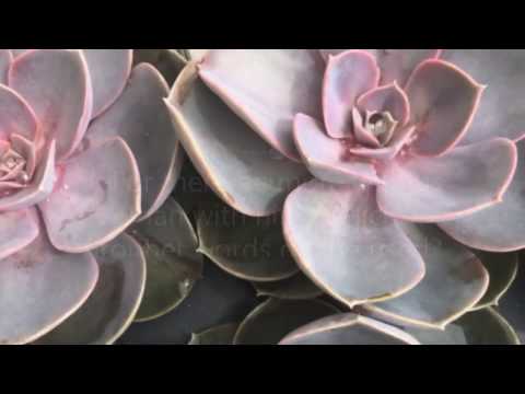 Be Strong And Courageous  Bible Study 23 2 Chronicles 32:6,7