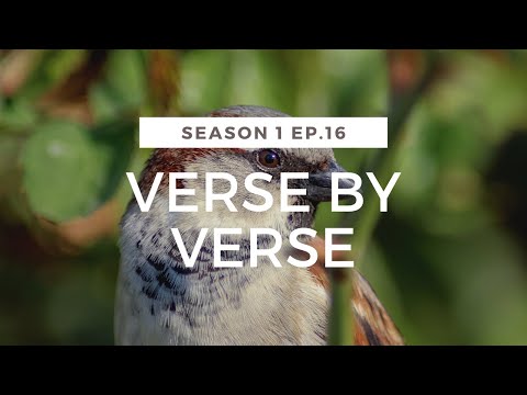 Genesis 1:29-30 - Verse by verse (Season 1 ep.16)