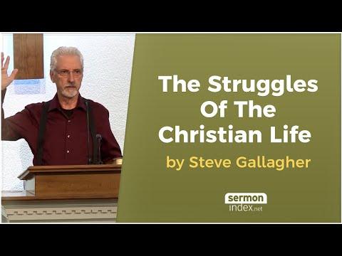 The Struggles Of The Christian Life by Steve Gallagher