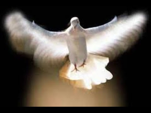 Don't Grieve the Holy Spirit -Scripture from the Lord- Isaiah 63:10;Psalms 85:9-12