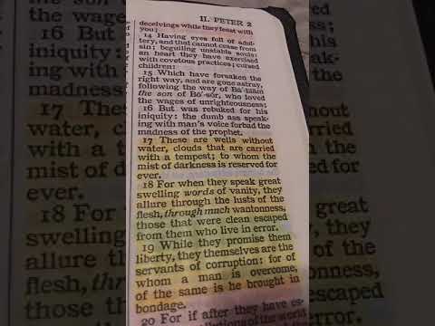 2 Peter 2:15 stood out to me...