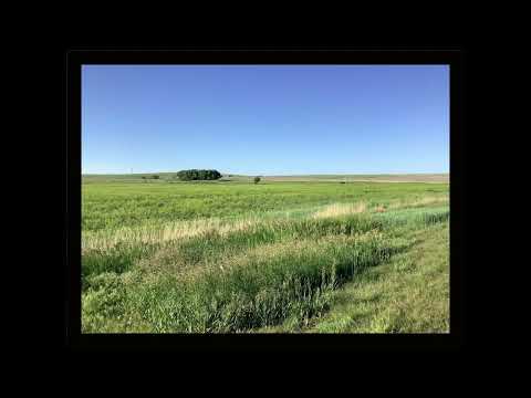 Coffee Break (5 Minutes with God) Psalm 105:24-28