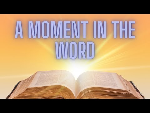 How To Study The Bible: Psalm 119:15-16