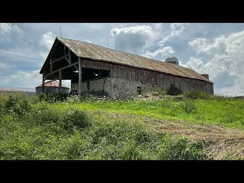 Scripture Verse By Verse  (2022)  First Kings 2:26-35