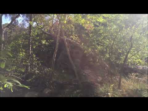 Hosea 14:8-9 | Adventure Nate