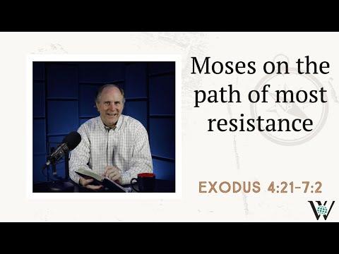 Lesson 39: Back to Egypt (Exodus 4:21-7:2)