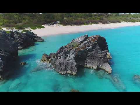 D A Y  2 1 // Habakkuk 3:17-18, Romans 8:28