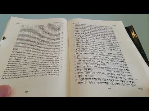 Daily Bible Reading - Exodus 40:17 - 40:38 end