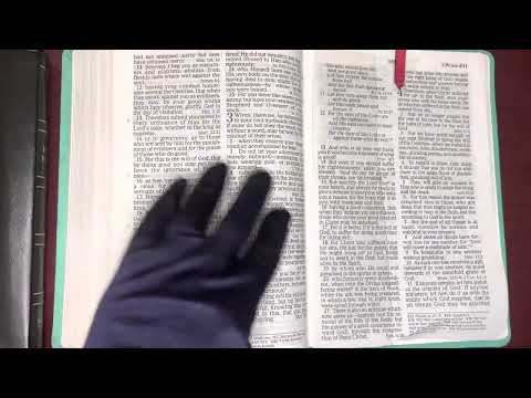 11/24/22, Psalm 120, Proverbs 24,         1Peter 4:1-19, Hosea 1:1-2:23 Old & New Testament Read