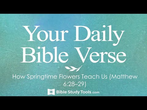 How Springtime Flowers Teach Us (Matthew 6:28–29)