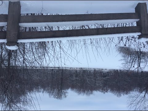 Scripture Verse By Verse (2023) Luke 20:19-26