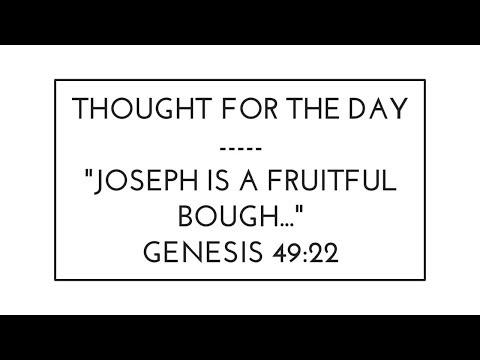 Joseph is a Fruitful Bough (Genesis 49:22)-Thought For The Day-June 29, 2017