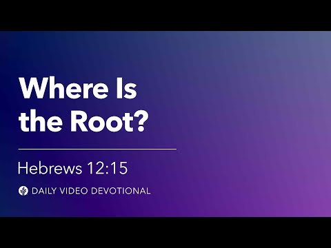 Where Is the Root? | Hebrews 12:15 | Our Daily Bread Video Devotional