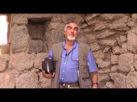 4. David Recovers All From the Amalekites - I Samuel 30:21-25