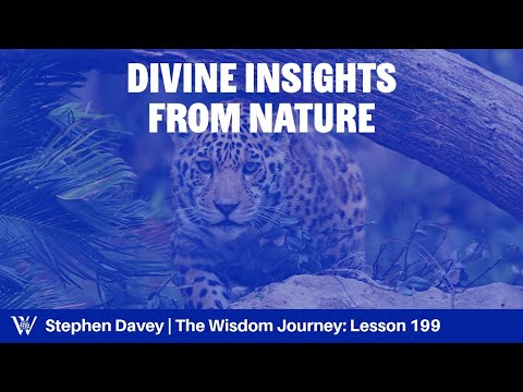 Lesson 199: A Trip to the Zoo (Job 38:39-40:14)