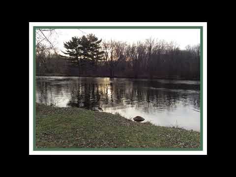 Coffee Break (5 Minutes with God) Psalm 78:38-40