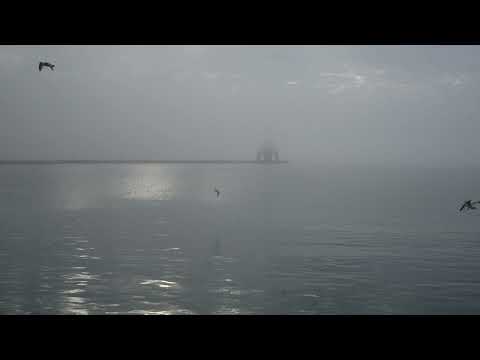 Scripture Verse By Verse  (2022)  Second Samuel  22:29-37