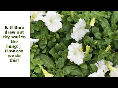 The Lord Shall Answer. Isaiah 58:9-10 Bible Study 9