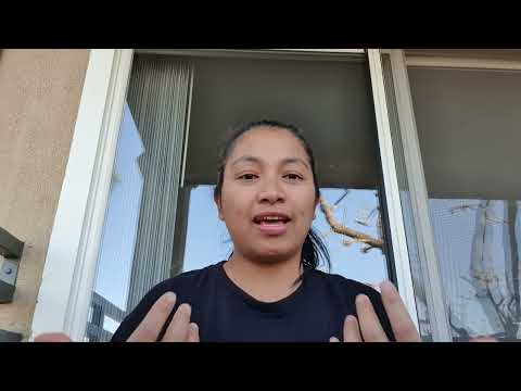 Episode 11: The God who sees the future (Genesis 2:4-6)