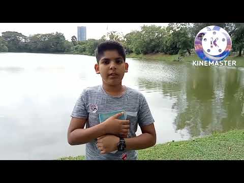 Today I'm sharing from John 14:19-20 Bible verses shared by Abram Zubair