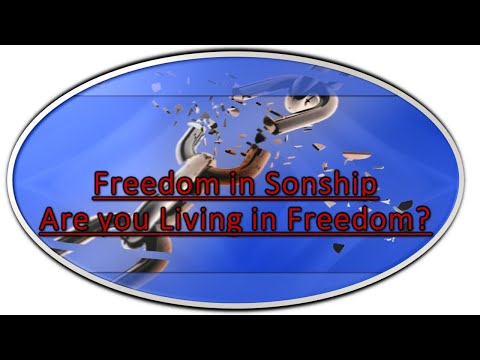 Freedom in Sonship   1 John 3:4-7