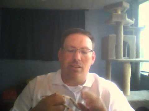 Passio Bellator James 2:24-26