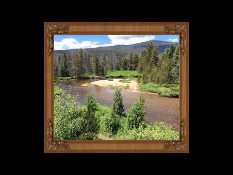 Coffee Break (5 Minutes with God) Psalm 38:18-20