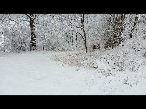 Scripture Verse By Verse (2023) Genesis 4:16-5:24