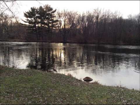 Gen Rev  Second Chronicles 21:1-23:15