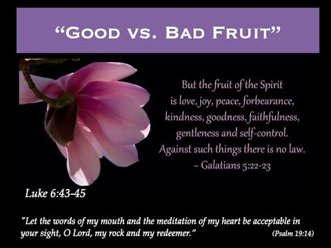 Good vs. Bad Fruit: Luke 6:43-45
