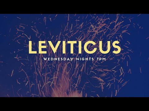 Results of Sin #2 - Leviticus 13:18-59
