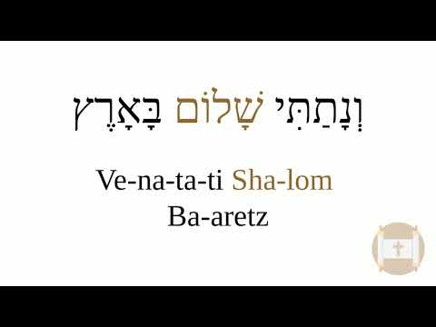 Shalom Hebrew - I shall also grant peace in the land (Leviticus 25:6)