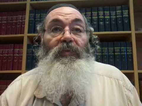 R' Shlomo of Karlin - Psalm 136:24 (My 500th video!)