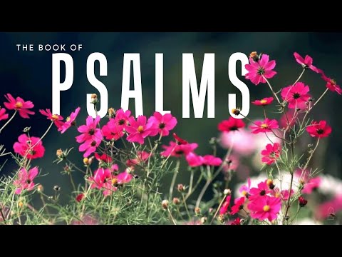 Psalm 106:24-27  ||  Prone To Wander [Part 2]  ||  8-1-21