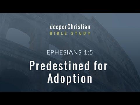 Lesson 11: Predestined for Adoption (Ephesians 1:5) – Bible Study