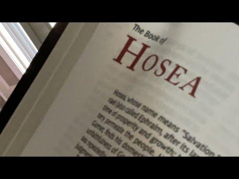 Hosea 6:7-7:16