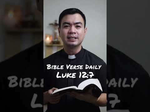 BIBLE VERSE DAILY | LUKE 12:7 #bible #bibleversedaily #catholic #devotion