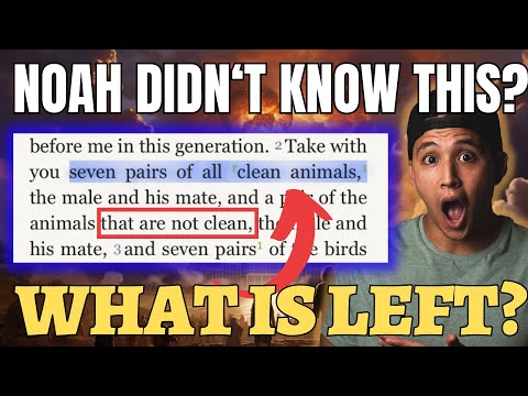 God Waited Until Noah Was 600 To Tell Him THIS | Bible Study in Genesis 7:1-3