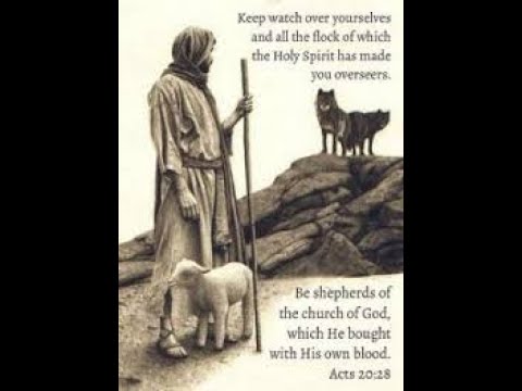 Acts 20:28-30:  A Quick Look (Guard the Flock!)