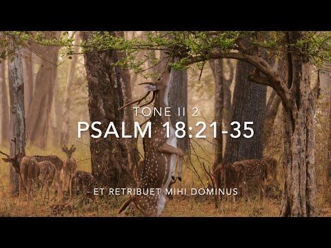 Psalm 18:21-35 – Et retribuet mihi Dominus
