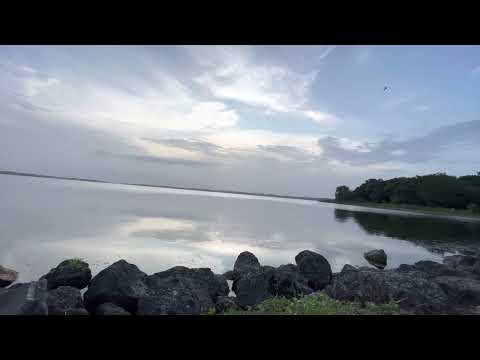 RIP Abby ~Day 223~ August 11~ Nehemiah 1:1-3:14, 1 Corinthians 7:1-24, Psalm 31:19-24, Proverbs 21:4