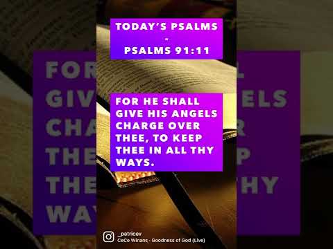Bible Verse of The Day - Psalms 91:11