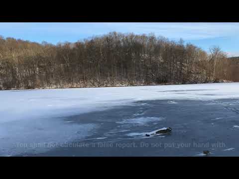 We Shall Witness...Acts 22:17-18, Acts 23:11, Exodus 20:16, Exodus 23:1