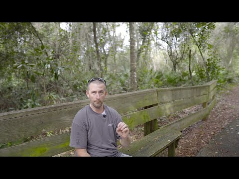 Bible teaching on Psalm 25:1-5  (Teach me Your paths, Lord)