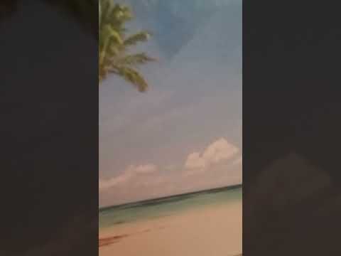 substitution of the Levites for the firstborn of Israel numbers 3:40-51